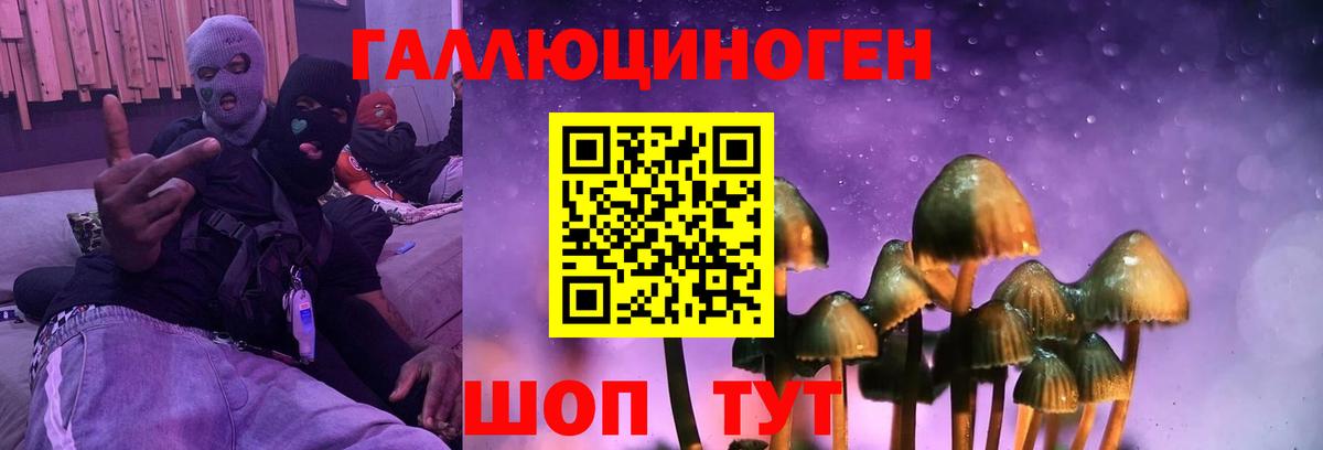 Псилоцибиновые грибы ЛСД Горно-Алтайск