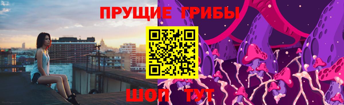 Псилоцибиновые грибы GOLDEN TEACHER  Вход с VPN  Горно-Алтайск 